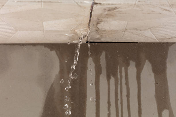Professional Structural Drying technician working in Stockton, UT